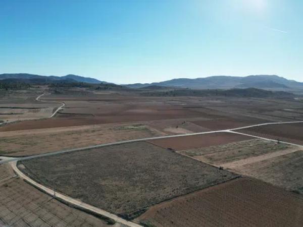 Terreno en pinoso s/n