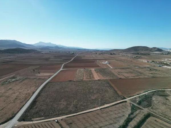 Terreno en pinoso s/n