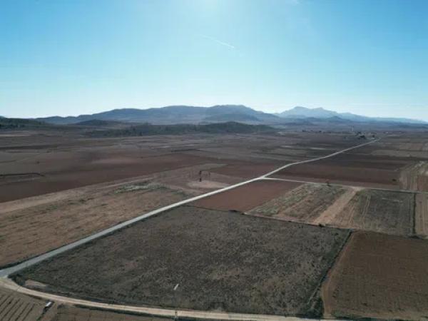 Terreno en pinoso s/n