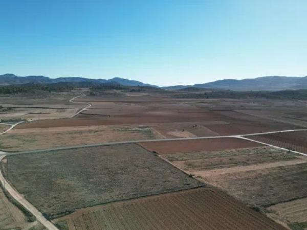 Terreno en pinoso s/n