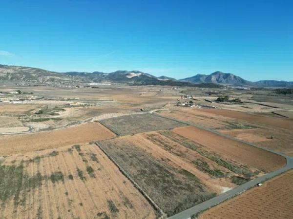 Terreno en pinoso s/n