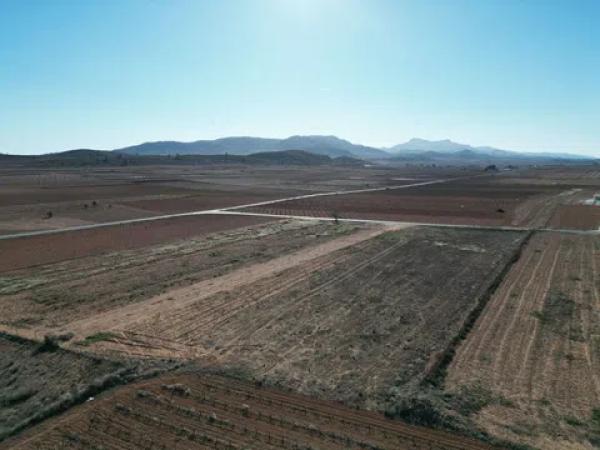 Terreno en pinoso s/n