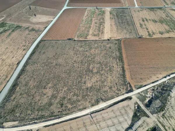 Terreno en pinoso s/n