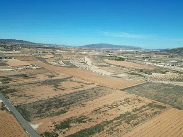 Terreno en pinoso s/n