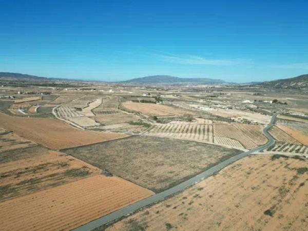 Terreno en pinoso s/n