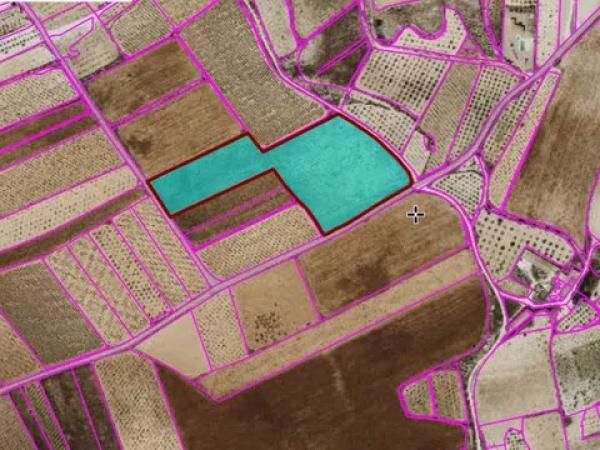 Terreno en pinoso s/n