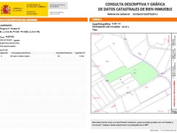 Terreno en pinoso s/n