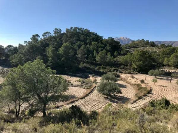 Terreno en Cv-780, km 4