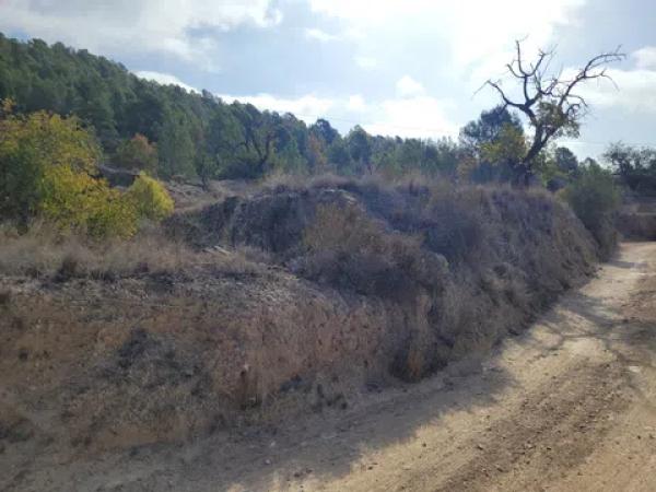 Terreno en El Tosal s/n