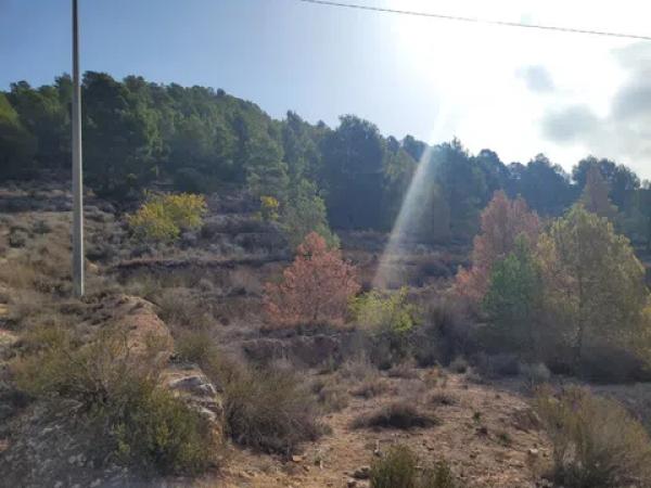 Terreno en El Tosal s/n