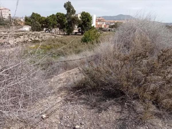 Terreno en avenida Padre Faustino Miquez