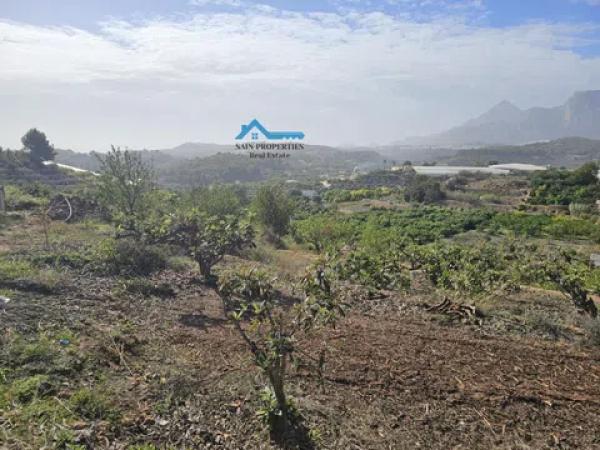 Terreno en Callosa d'En Sarria