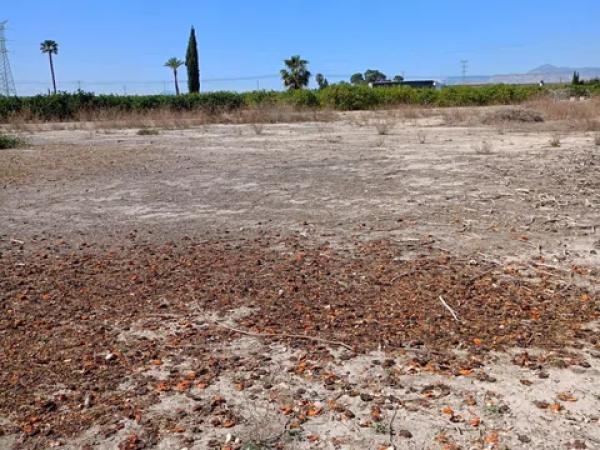 Terreno en carretera Orihuela Abanilla s/n