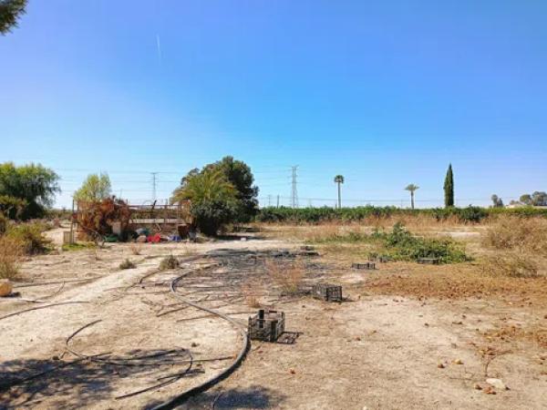 Terreno en carretera Orihuela Abanilla s/n