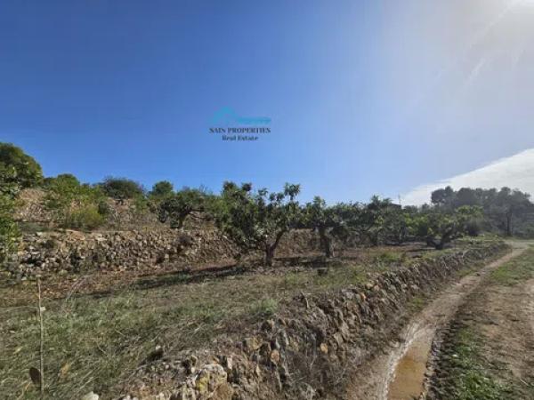 Terreno en Callosa d'En Sarria