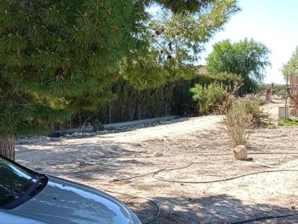 Terreno en carretera Orihuela Abanilla s/n