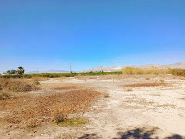 Terreno en carretera Orihuela Abanilla s/n