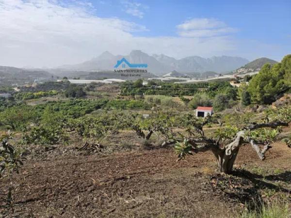 Terreno en Callosa d'En Sarria
