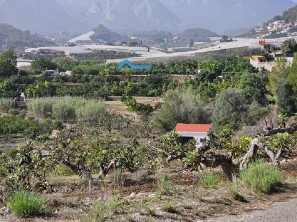 Terreno en Callosa d'En Sarria