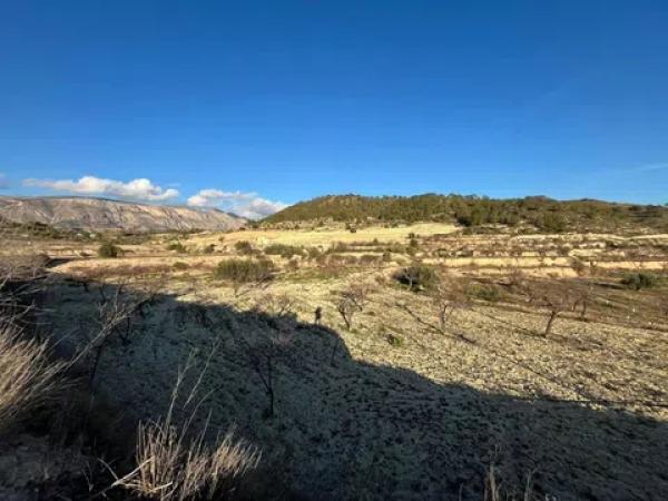 Terreno en Cv-775 s/n