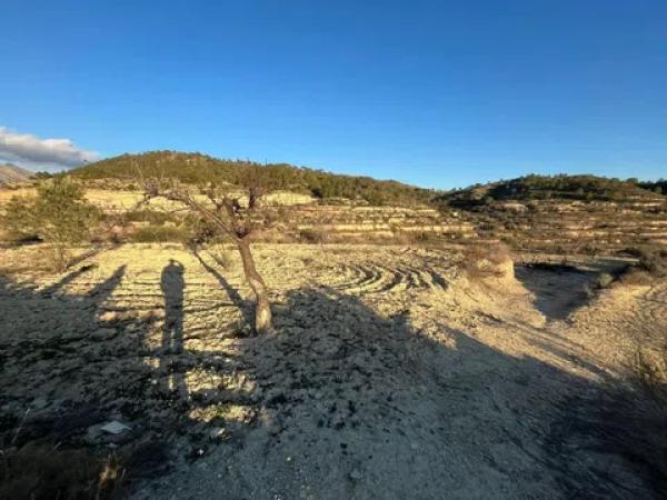 Terreno en Cv-775 s/n