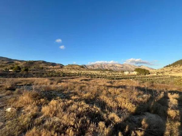 Terreno en Cv-775 s/n