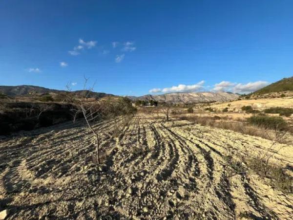 Terreno en Cv-775 s/n