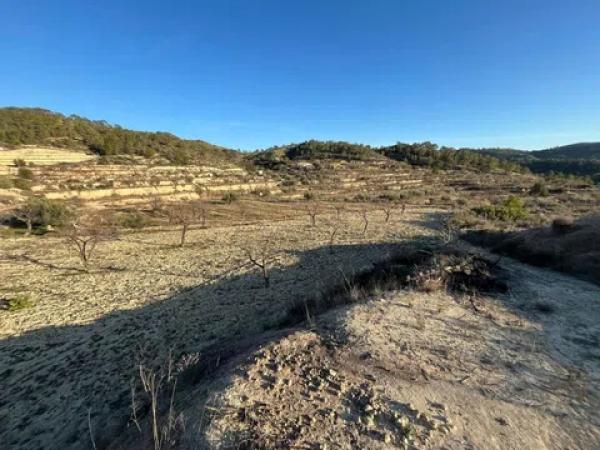 Terreno en Cv-775 s/n