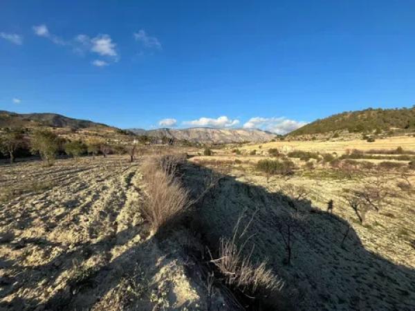 Terreno en Cv-775 s/n