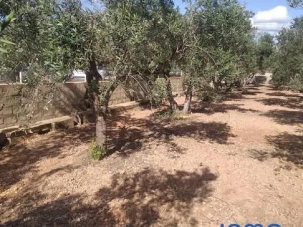 Terreno en calle Cabo de Palos