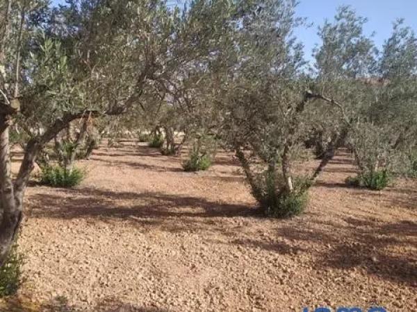 Terreno en calle Cabo de Palos