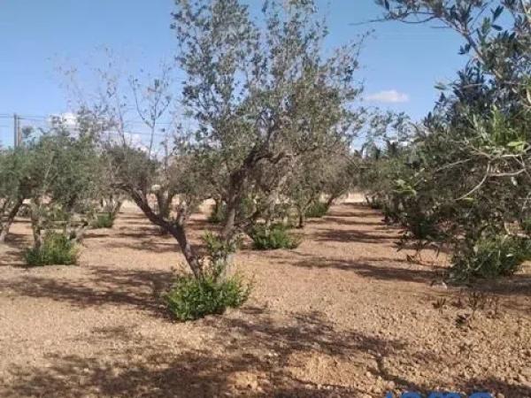 Terreno en calle Cabo de Palos