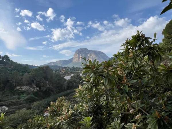 Terreno en Callosa d'En Sarria
