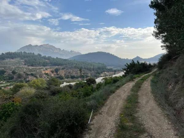 Terreno en Callosa d'En Sarria