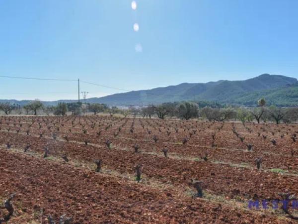 Terreno en Jalón