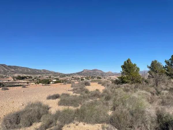 Terreno en Paraje Alto de los Pavos s/n sn