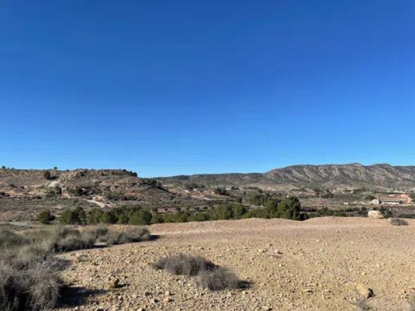 Terreno en Paraje Alto de los Pavos s/n sn