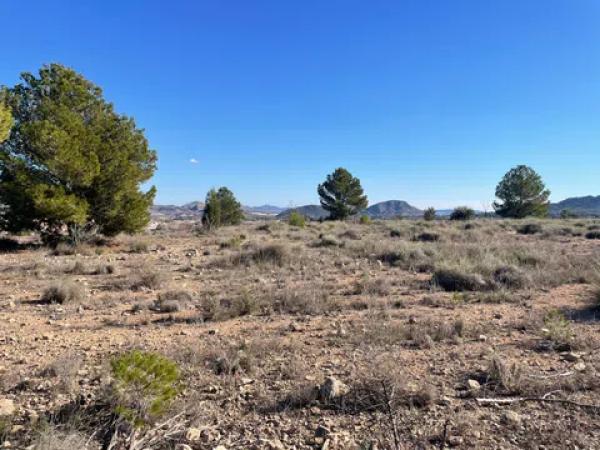 Terreno en Paraje Alto de los Pavos s/n sn
