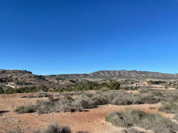 Terreno en Paraje Alto de los Pavos s/n sn