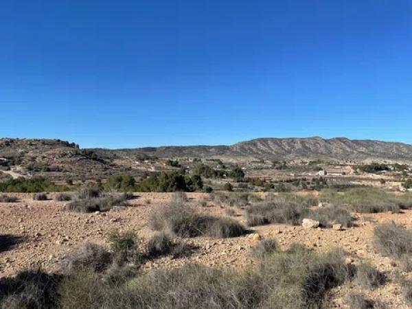 Terreno en Paraje Alto de los Pavos s/n sn