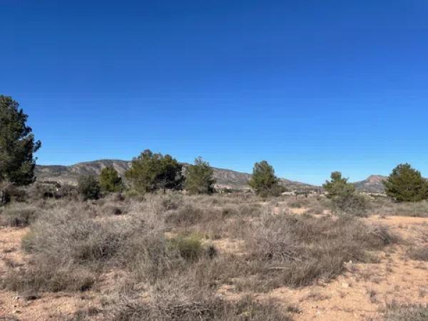 Terreno en Paraje Alto de los Pavos s/n sn