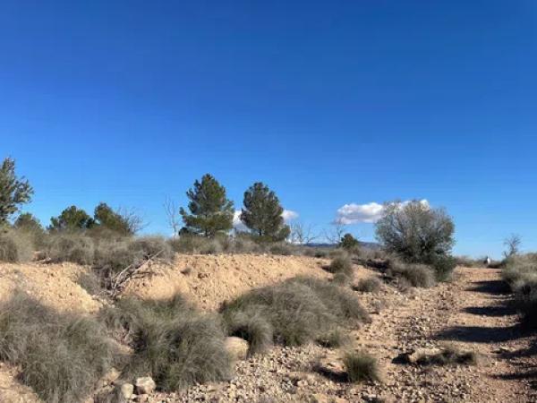 Terreno en Paraje Alto de los Pavos s/n sn