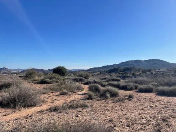 Terreno en Paraje Alto de los Pavos s/n sn