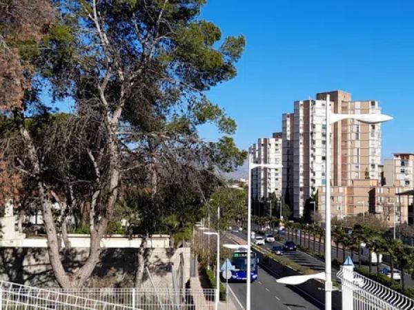 Terreno en avenida de Dénia, 131