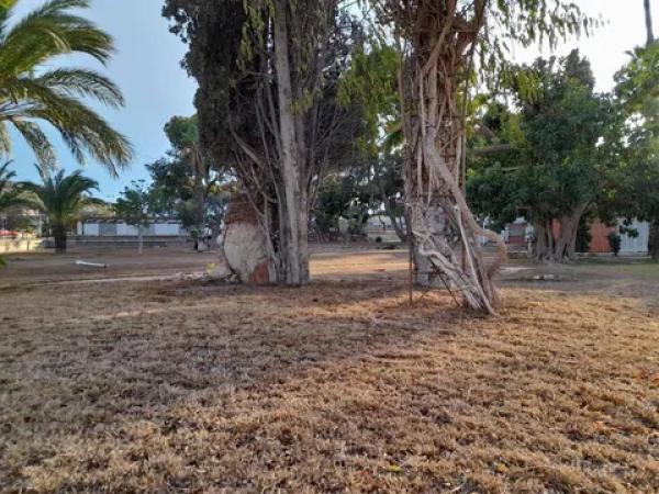 Terreno en avenida de Dénia, 131