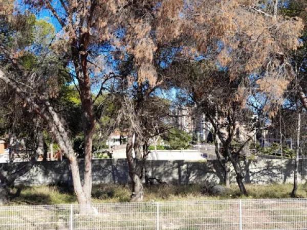 Terreno en avenida de Dénia, 131