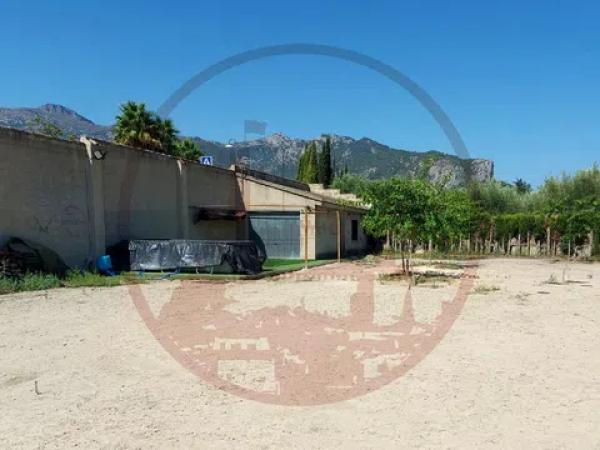 Terreno en plaza S.a.u. Rm-1, 15