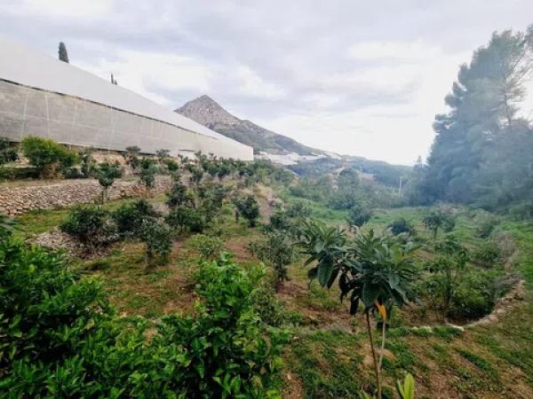 Terreno en Partida Clots, 30