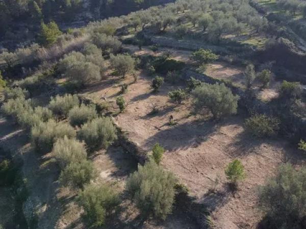 Terreno en Benimantell