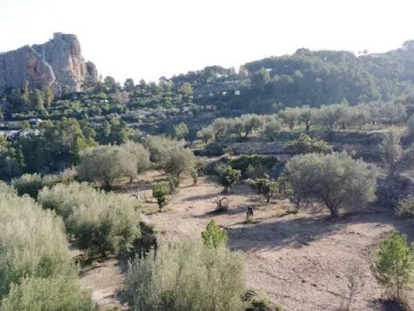 Terreno en Benimantell
